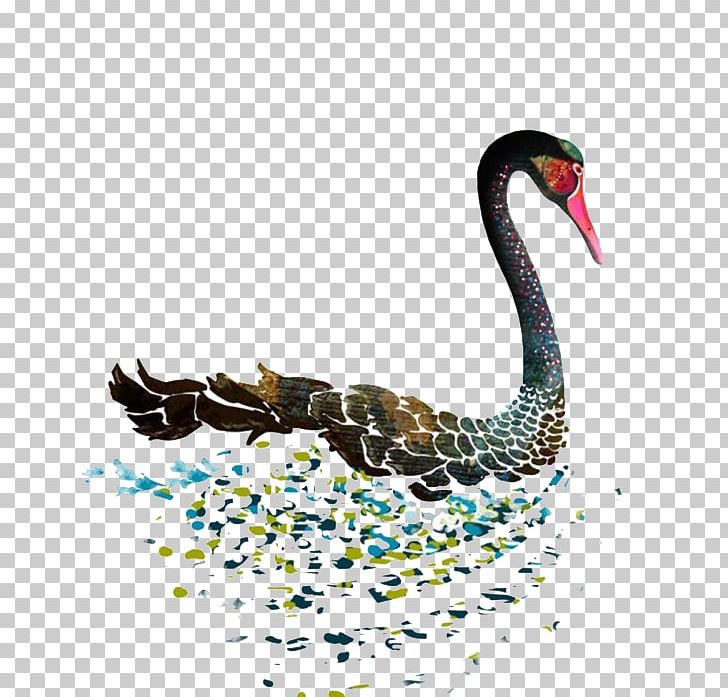 Black Swan Dance Double Controversy T-shirt PNG, Clipart, Animals, Art, Background Black, Beak, Bird Free PNG Download