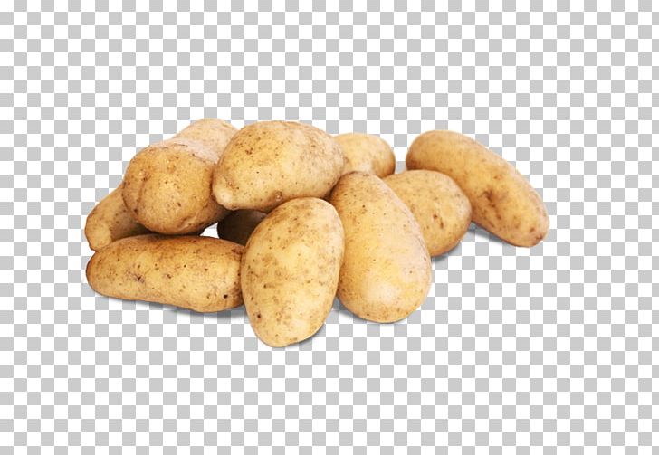 Russet Burbank Potato Fingerling Potato Yukon Gold Potato Irish Potato Candy Tuber PNG, Clipart, Fingerling Potato, Food, Irish Potato Candy, Potato, Potato And Tomato Genus Free PNG Download