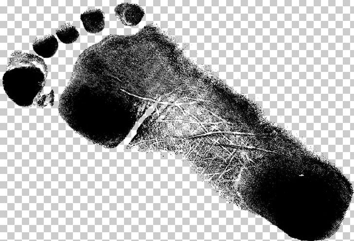 Shoe Footprint Grunge Paw PNG, Clipart, Animal, Arrow, Banner, Black And White, Brush Free PNG Download