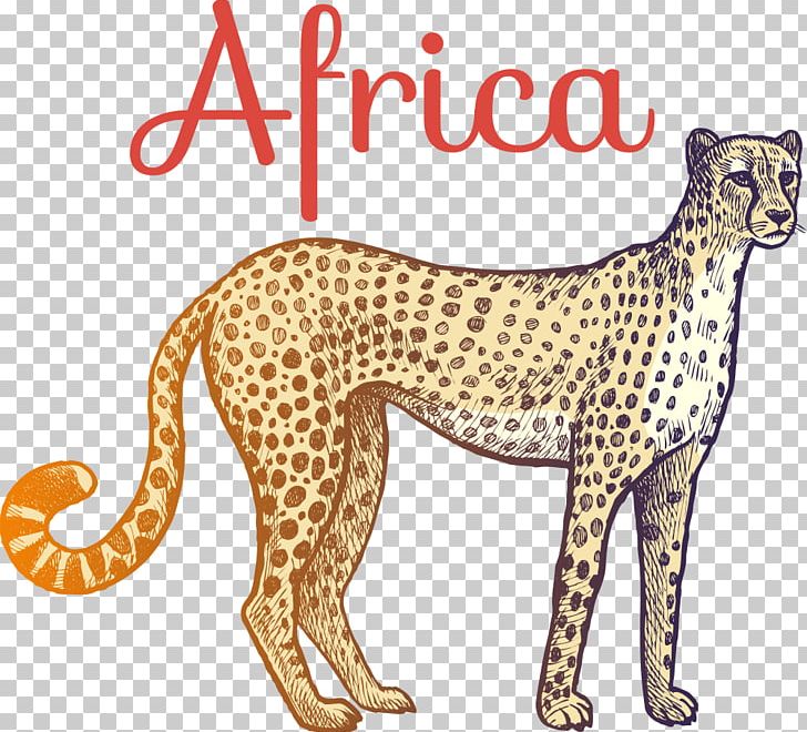 Cheetah Giraffe Wild Boar PNG, Clipart, Animal, Animals, Big Cats, Carnivoran, Cartoon Free PNG Download