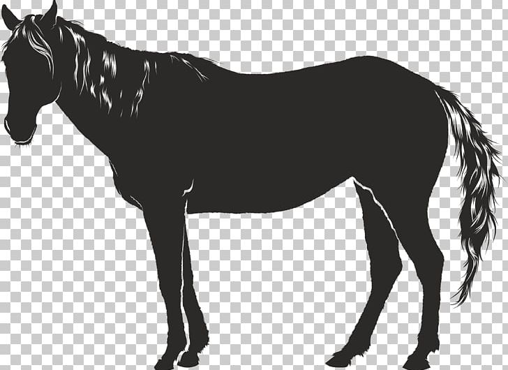 Mule Horse PNG, Clipart, Animals, Download, Encapsulated Postscript, Grayscale, Horse Like Mammal Free PNG Download