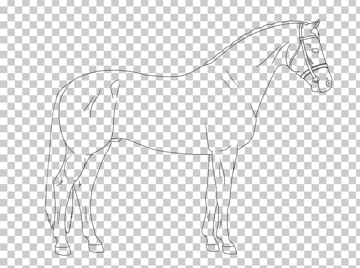 Pony Mustang Foal Stallion Colt PNG, Clipart, Animal, Arm, Artwork, Bit, Black And White Free PNG Download
