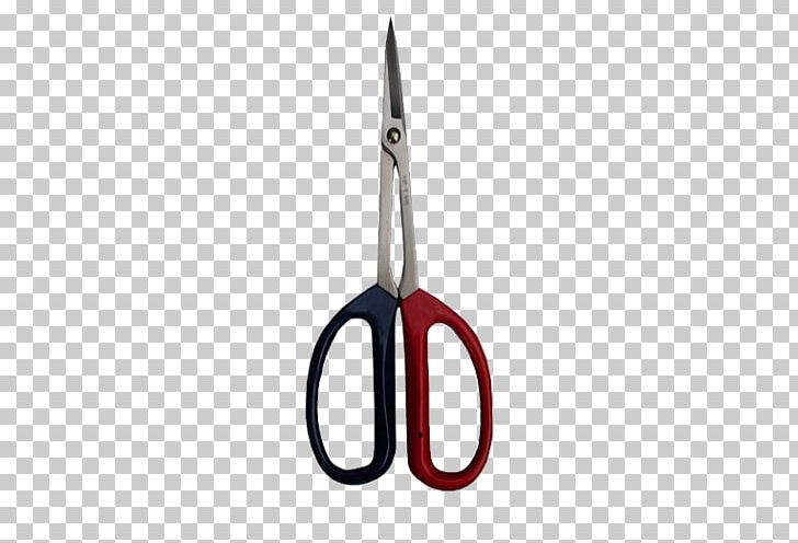 Scissors Hair-cutting Shears Tool Florida PNG, Clipart, Email, Fivethirtyeight, Florida, Hair, Haircutting Shears Free PNG Download