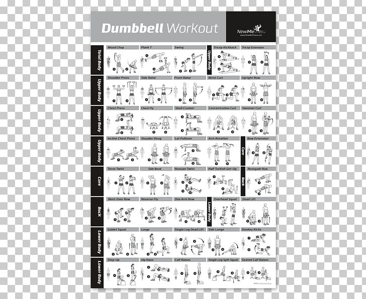Weight Training Exercise Dumbbell Fitness Centre Strength Training PNG, Clipart, Angle, Area, Barbell, Bodybuilding, Bodyweight Exercise Free PNG Download