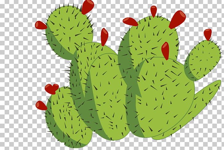 Cactaceae Barbary Fig PNG, Clipart, Amphibian, Cactus, Erg, Euclidean Vector, Flowering Plant Free PNG Download