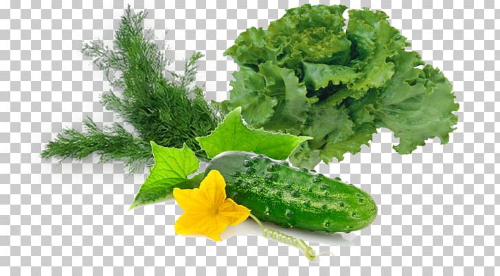 Kale Garden Cress Lettuce Rapini Salad PNG, Clipart, Diet, Diet Food, Food, Food Drinks, Garden Cress Free PNG Download