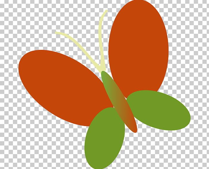 Leaf Petal Plant Stem Fruit PNG, Clipart, Flower, Food, Fruit, Leaf, Orange Free PNG Download
