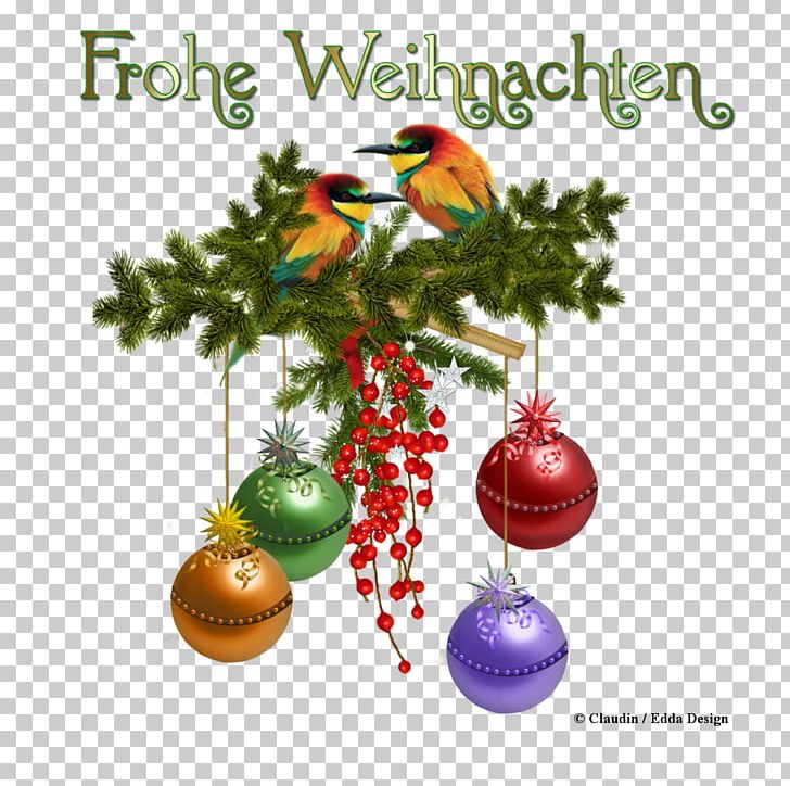 Christmas Tree Christmas Day Christmas Ornament Meine Reise Durch Die Zeit (My Journey Through Time) PNG, Clipart, Bund, Christmas, Christmas Day, Christmas Decoration, Christmas Ornament Free PNG Download