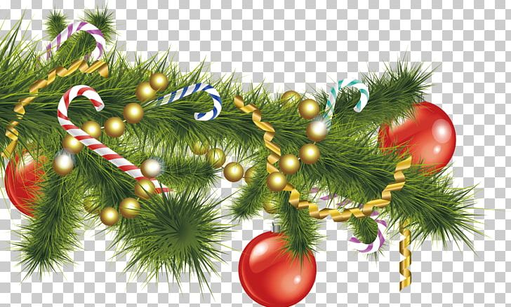 Encapsulated PostScript Branch Spruce Tree PNG, Clipart, Branch, Cdr, Christmas, Christmas Decoration, Christmas Ornament Free PNG Download
