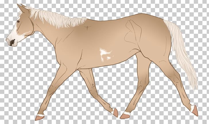 Mane Mustang Foal Stallion Colt PNG, Clipart, Animal Figure, Bit, Bridle, Colt, Colts Manufacturing Company Free PNG Download