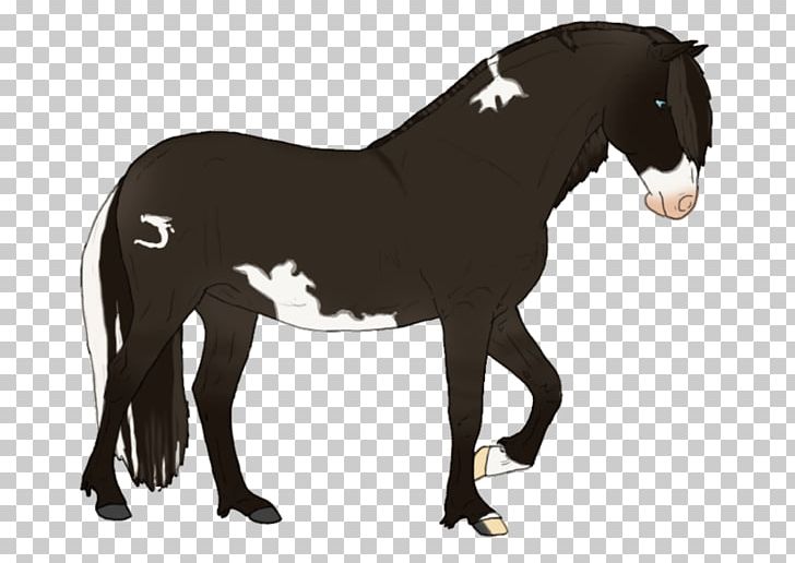 Mustang Stallion Pony Rein Pack Animal PNG, Clipart, Bridle, Colt, English Riding, Equestrian, Halter Free PNG Download
