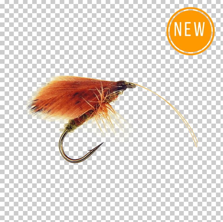 Artificial Fly Fly Fishing Insect Mayfly Angling PNG, Clipart, Angling, Animals, Artificial Fly, Crate, Dry Flies And Emergers Free PNG Download