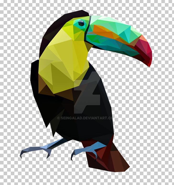 Bird Parrot Toucan Painting Art PNG, Clipart, Animals, Art, Art Nouveau, Beak, Bird Free PNG Download