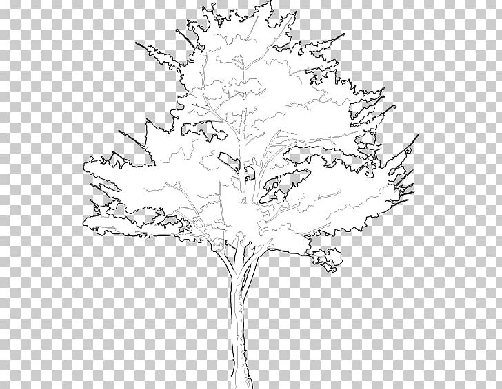 Floral Design /m/02csf Line Art Drawing PNG, Clipart, Apricot, Area, Artwork, Black And White, Block Free PNG Download