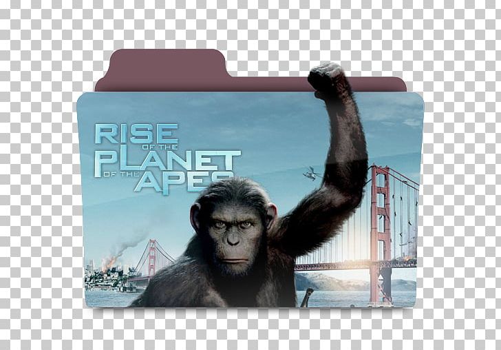 James Franco Rise Of The Planet Of The Apes Film PNG, Clipart, Ape, Chimpanzee, Cinema, Common Chimpanzee, Film Free PNG Download