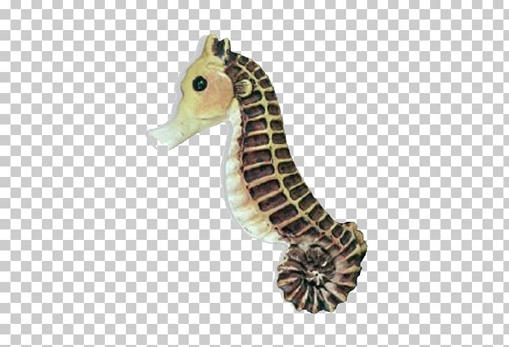 Seahorse Drawer Pull Cabinetry Door Handle PNG, Clipart, Animals, Bathroom, Beach, Cabinetry, Ceramic Free PNG Download