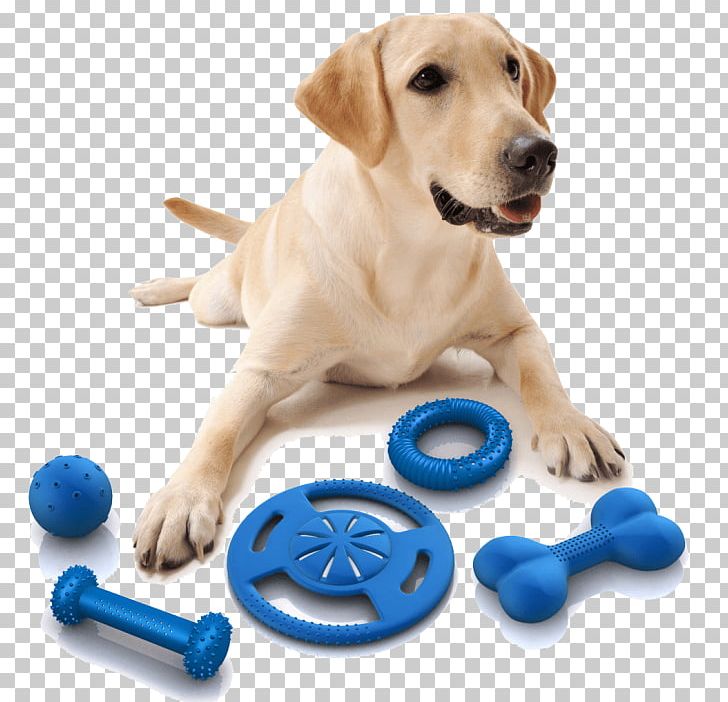 Dog Toys Pet Puppy PNG, Clipart, Dog, Pet, Puppy, Toys Free PNG Download