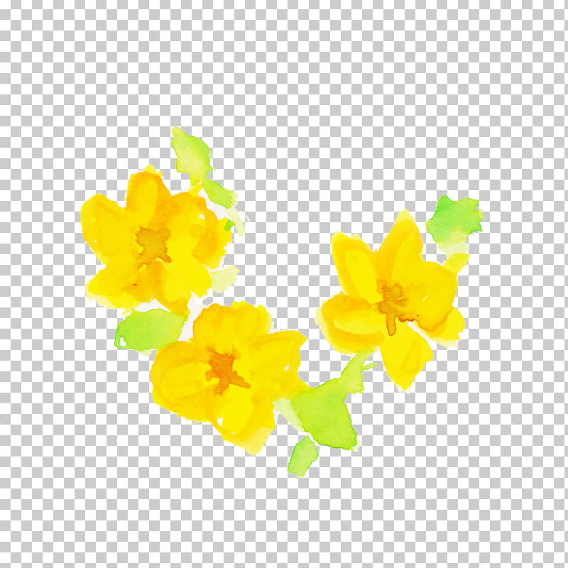 Yellow Flower Plant Petal Wildflower PNG, Clipart, Flower, Herbaceous Plant, Petal, Plant, Watercolor Flower Free PNG Download