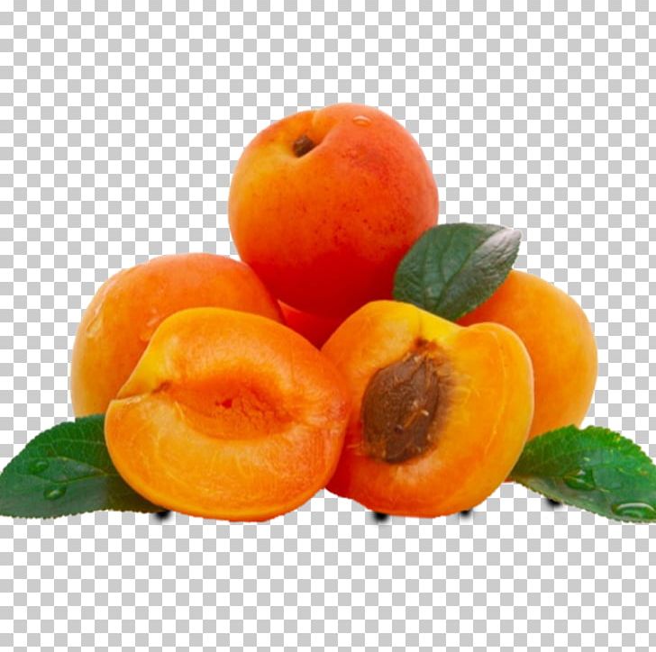 Apricot Oil Apricot Kernel Carrier Oil PNG, Clipart, Apricot, Apricot Kernel, Apricot Oil, Carrier Oil, Diet Food Free PNG Download