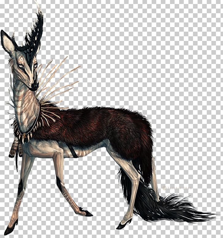Canidae Musk Deers Horse Antelope PNG, Clipart, Antelope, Canidae, Carnivoran, Character, Deer Free PNG Download