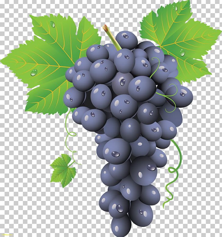 Common Grape Vine Red Wine Chardonnay PNG, Clipart, Bilberry, Blueberry, Chardonnay, Currant, Food Free PNG Download