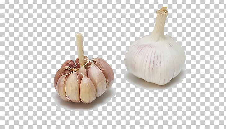 Garlic Shallot Vegetable PNG, Clipart, Cartoon Garlic, Chili Garlic, Dandan Noodles, Food, Fresh Garlic Free PNG Download