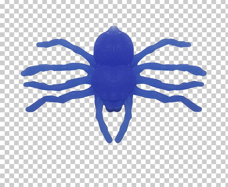 Insect Font PNG, Clipart, Animals, Blue, Dispencer, Electric Blue, Insect Free PNG Download