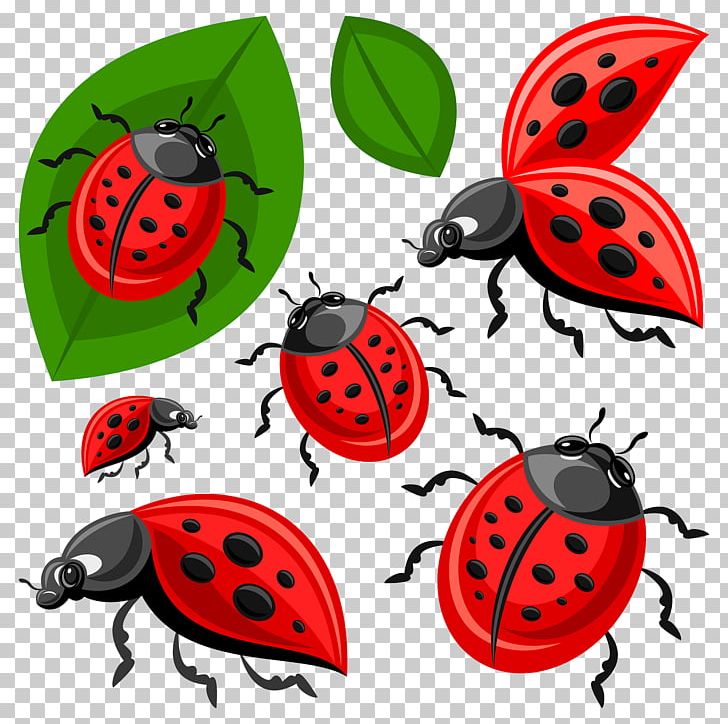 Ladybird Beetle PNG, Clipart, Cartoon, Children, Clip Art, Hand, Illustrator Free PNG Download