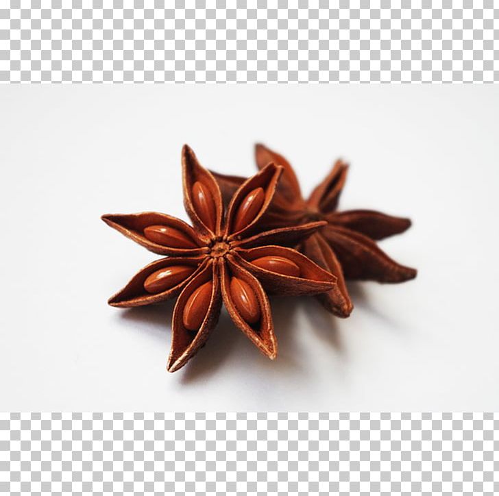 Masala Chai Star Anise Spice Absinthe PNG, Clipart, Absinthe, Allspice, Anethole, Anise, Essential Oil Free PNG Download