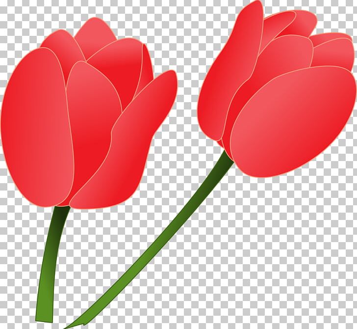 Tulip PNG, Clipart, Desktop Wallpaper, Digital Image, Document, Download, Flower Free PNG Download