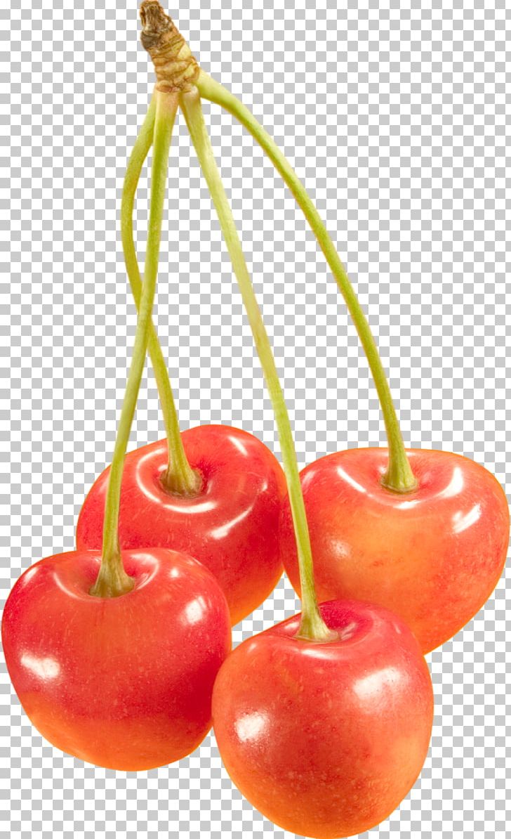Sweet Cherry Cerasus Fruit PNG, Clipart, Berry, Cherries, Cherry, Cherry Blossom, Cherry Blossoms Free PNG Download