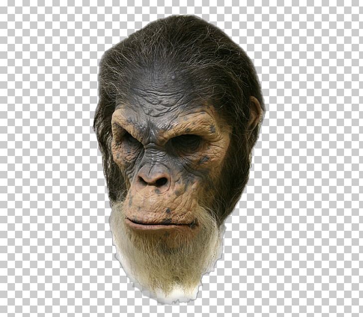 Common Chimpanzee Planet Of The Apes Gorilla Sculpture PNG, Clipart, Animals, Ape, Art, Common Chimpanzee, Dawn Of The Planet Of The Apes Free PNG Download