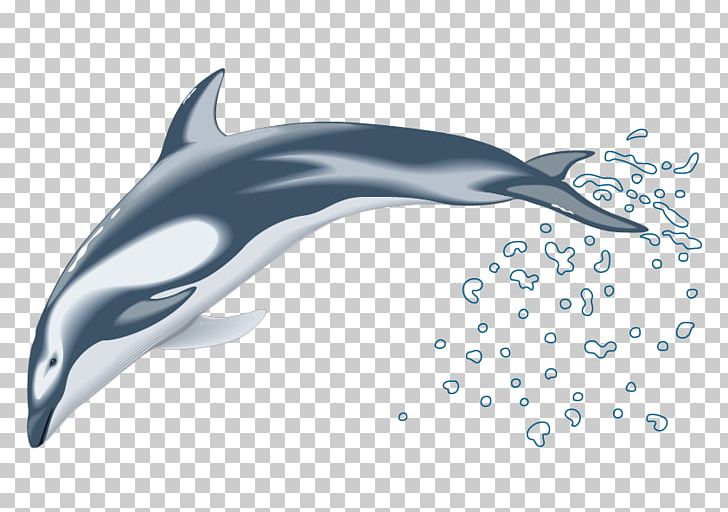 Dolphin Drawing PNG, Clipart, Animals, Bottlenose Dolphin, Cartoon, Cute Dolphin, Dolphine Free PNG Download