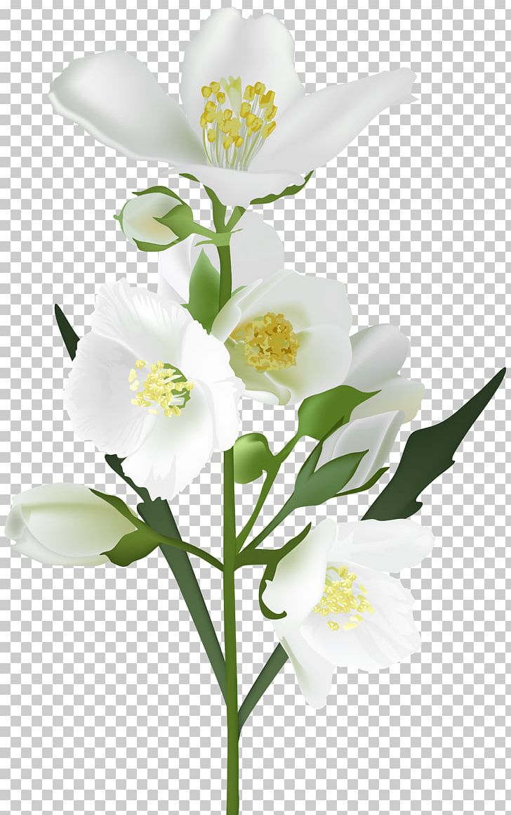 Flower White PNG, Clipart, Branch, Clip Art, Computer Icons, Cut Flowers, Desktop Wallpaper Free PNG Download