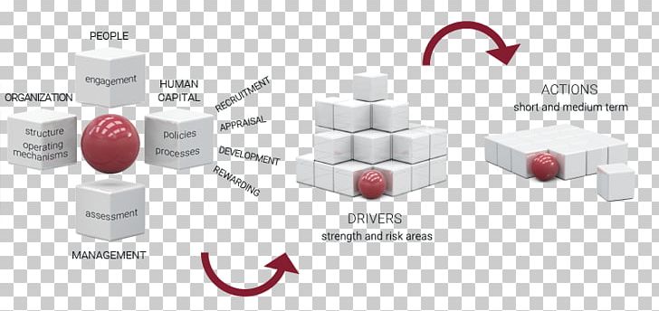 Due Diligence Human Capital Organization Change Management Business Process PNG, Clipart, Brand, Business Process, Capital, Change Management, Due Diligence Free PNG Download