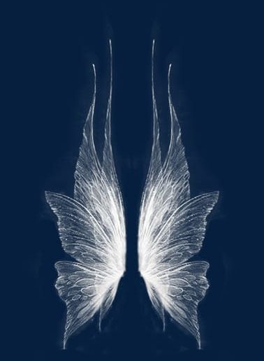 Wing PNG, Clipart, Angel, Angel Wings, Decoration, Fantasy, Fantasy Wings Free PNG Download