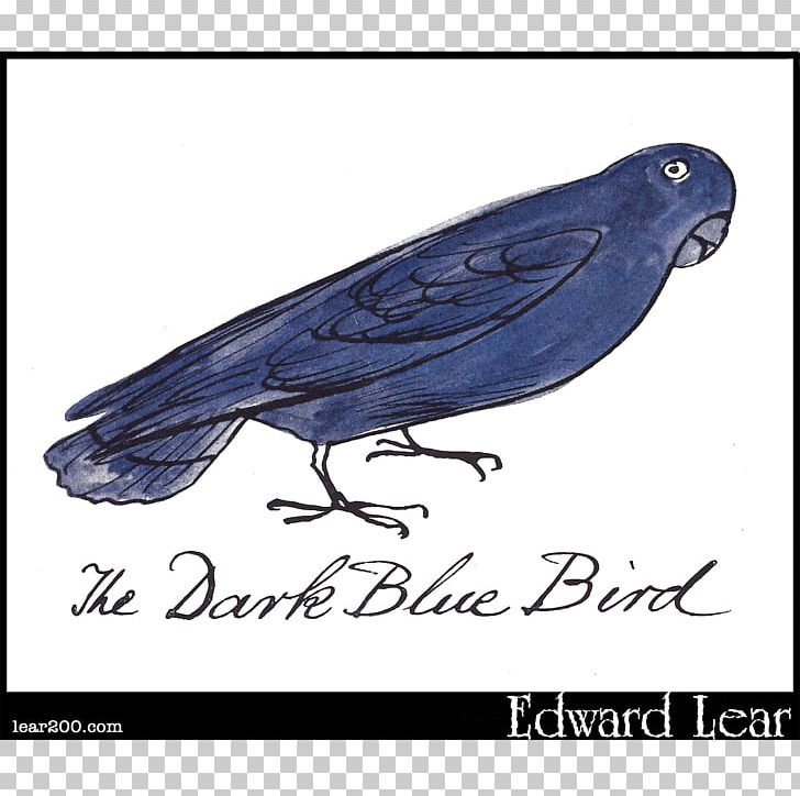 Beak Cobalt Blue Feather PNG, Clipart, Animals, Beak, Bird, Blue, Blue Bird Free PNG Download