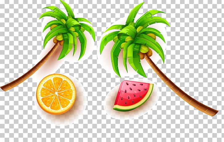 Fruit Coconut Euclidean PNG, Clipart, Arecaceae, Auglis, Christmas Tree, Coconut, Coconut Tree Free PNG Download