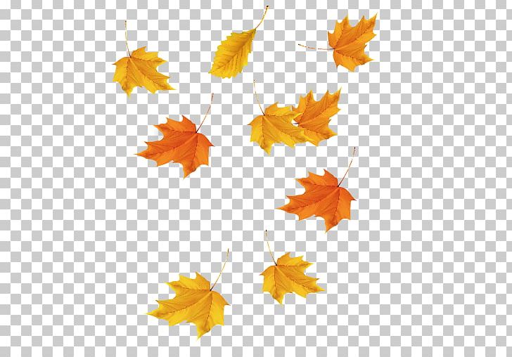 Maple Leaf Red Maple Icon PNG, Clipart, Abstract, Autumn, Autumn Leaf, Autumn Leaf Color, Flowering Plant Free PNG Download