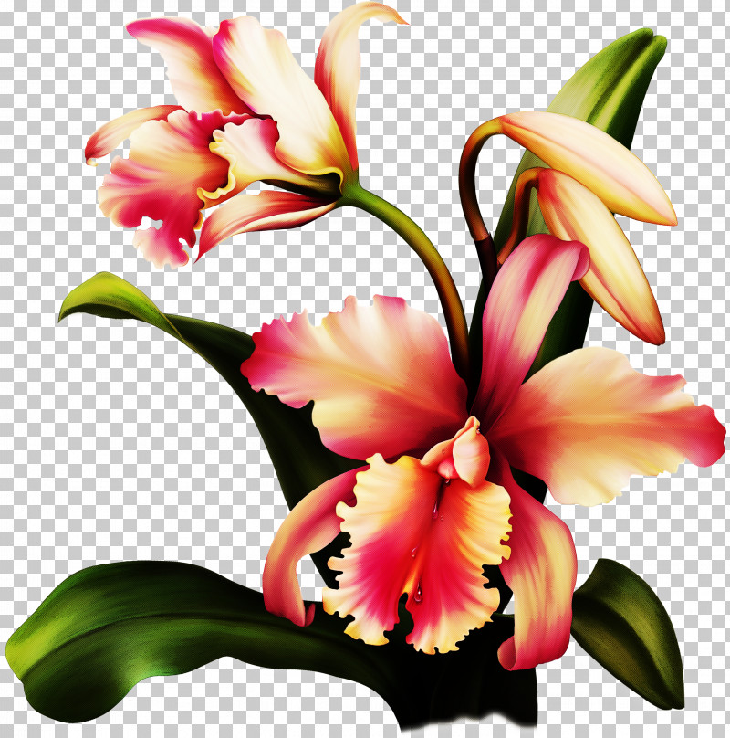 Artificial Flower PNG, Clipart, Artificial Flower, Cattleya, Cut Flowers, Dendrobium, Flower Free PNG Download