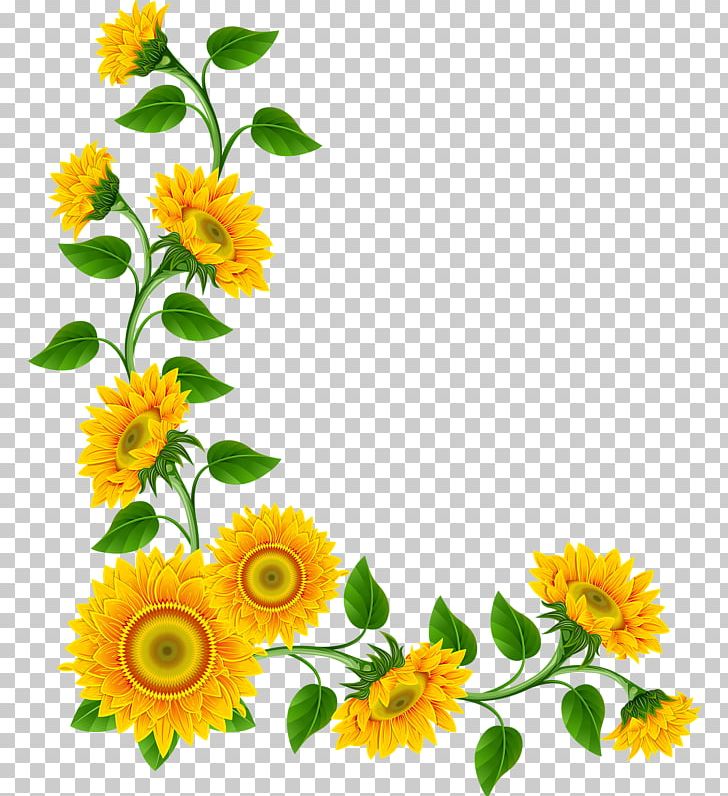 Common Sunflower PNG, Clipart, Annual Plant, Calendula, Clip Art, Common Sunflower, Computer Font Free PNG Download
