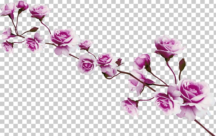 Cut Flowers Floral Design PNG, Clipart, Branch, Bud, Cherry Blossom, Cicekler, Cut Flowers Free PNG Download