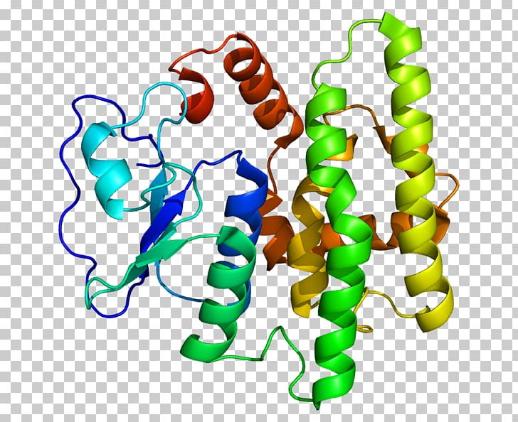 Glutathione S-transferase Human Genome Project GSTO1 PNG, Clipart, Area, Artwork, Ensembl, Enzyme, Erm Protein Family Free PNG Download