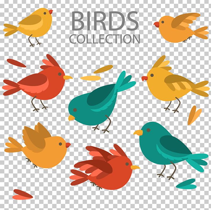 Lovebird Feather Illustration PNG, Clipart, Animal, Animals, Artwork, Bird, Bird Vector Free PNG Download