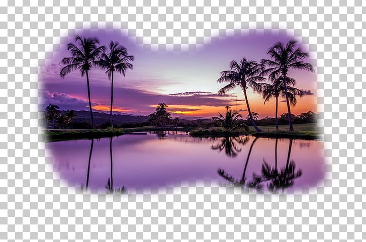 Puerto Rico High-definition Television Display Resolution 1080p PNG, Clipart, 1610, Beach, Beaches, Beach Party, Beautiful Free PNG Download