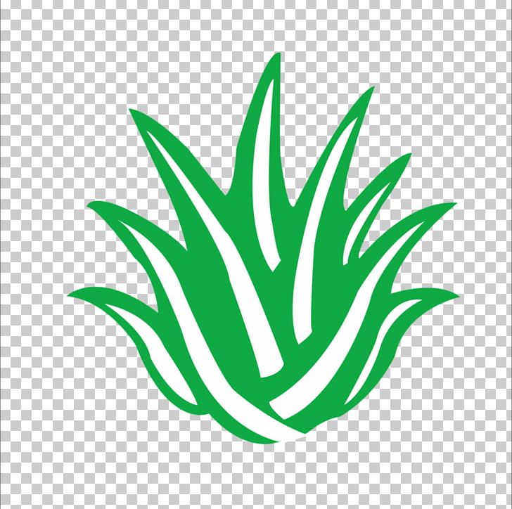 Aloe Vera Logo Icon PNG, Clipart, Aloe, Aloe Perspective, Aloe Plant, Aloe Vera Crush, Aloe Vera Gel Free PNG Download