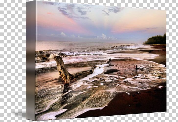 Driftwood Stock Photography Sky Plc PNG, Clipart, Coast, Driftwood, Inlet, Landscape, Others Free PNG Download