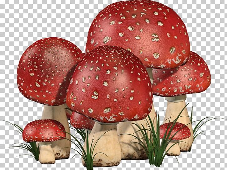 Edible Mushroom Fruit Fungus PNG, Clipart, Champignon, Edible, Edible Mushroom, Fruit, Fungus Free PNG Download