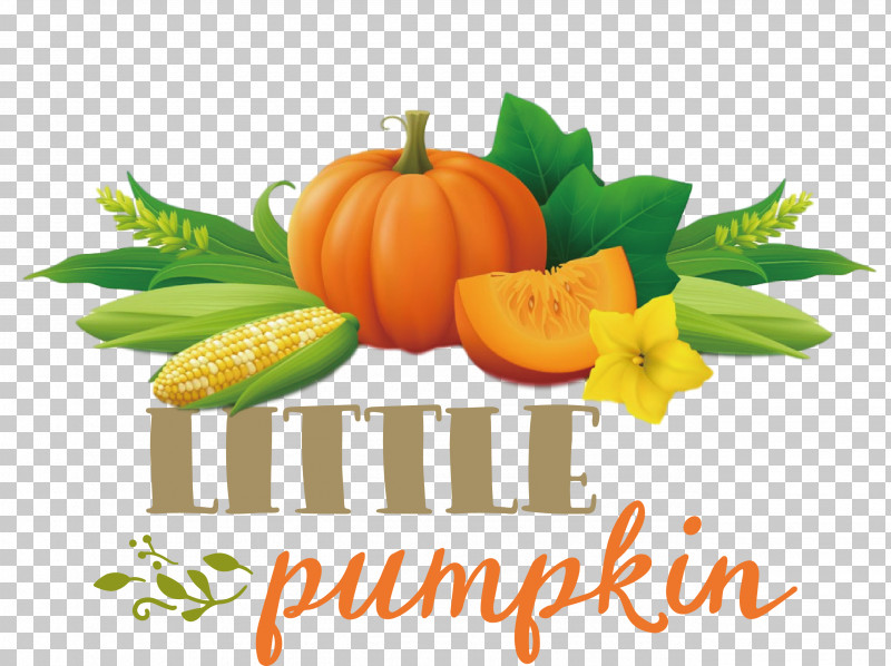 Little Pumpkin Thanksgiving Autumn PNG, Clipart, Autumn, Cooking, Corn, Courgette, Fruit Free PNG Download