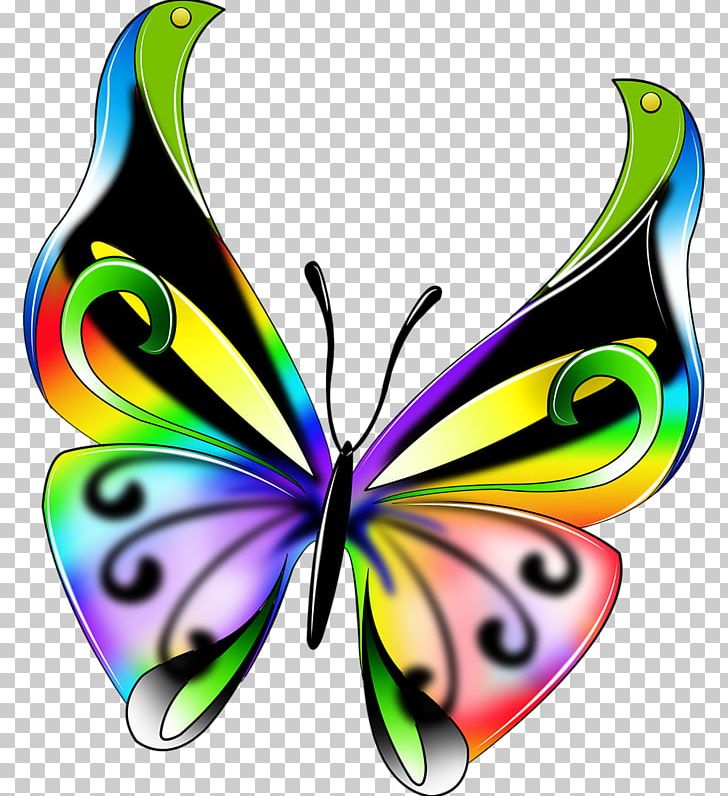 Butterfly Insect Color Drawing PNG, Clipart, Art, Arthropod, Body Jewelry, Brush Footed Butterfly, Bryan Fury Free PNG Download